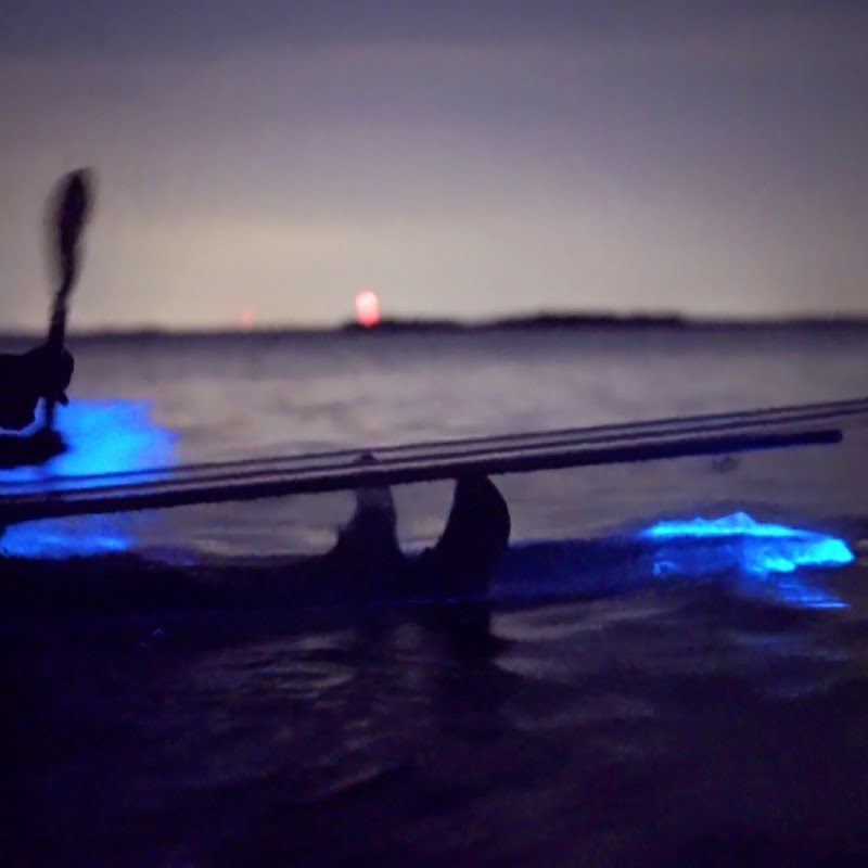 Florida Adventurer - Bioluminescent Kayaking