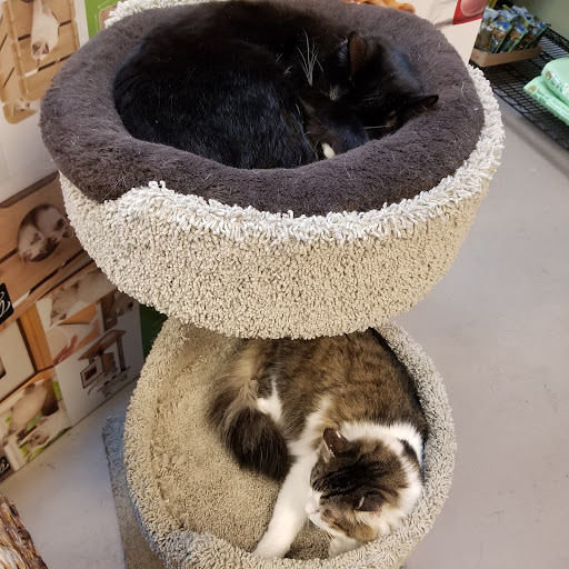 Pet Store «Village Pets», reviews and photos, 8522 Madison Ave, Fair Oaks, CA 95628, USA