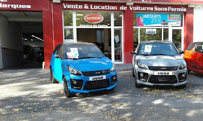 VOITURES SANS PERMIS LIGIER MICROCAR MAISONS ALFORT Réseau Sans Permis 94 - PARIS à Maisons-Alfort
