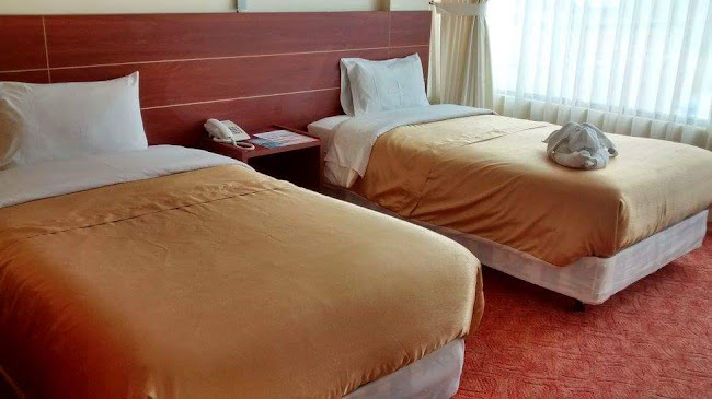 Comentarios y opiniones de Hotel Flor de Los Andes