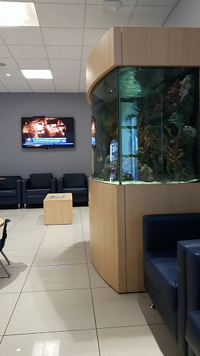 Chevrolet Dealer «Gunn Chevrolet», reviews and photos, 16550 I-35, Selma, TX 78154, USA