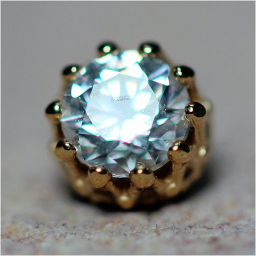 Tattoo Shop «Tiger Lotus Tattoo and Piercing», reviews and photos, 17230 S Tamiami Trail, Fort Myers, FL 33908, USA