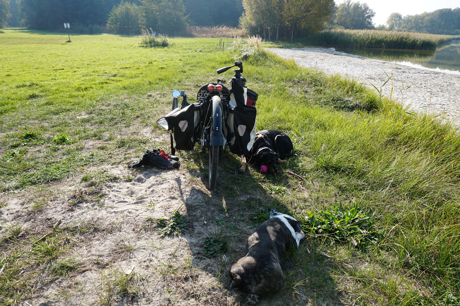 Foto de Hundestrand Dahmen com alto nível de limpeza