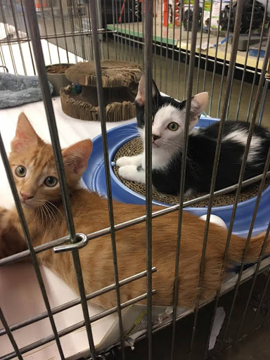 Pet Store «Pet World - Auburndale», reviews and photos, 3637 Havendale Blvd, Auburndale, FL 33823, USA