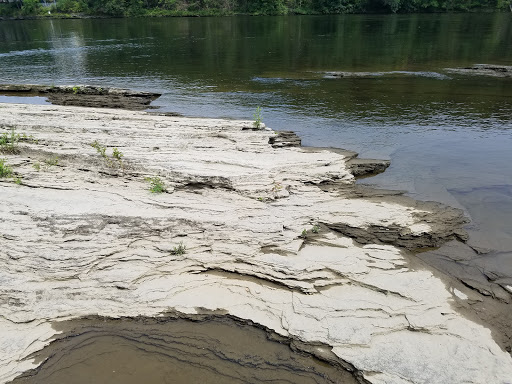 Tourist Attraction «Dinosaur Footprints», reviews and photos, US-5, Holyoke, MA 01040, USA