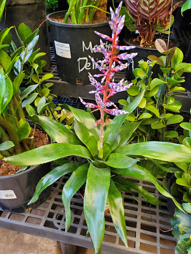 Hardware Store «Santa Barbara Home Improvement Center», reviews and photos, 415 E Gutierrez St, Santa Barbara, CA 93101, USA