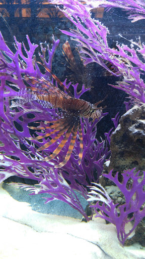 Tropical Fish Store «Concord Aquarium», reviews and photos, 1776 Arnold Industrial Way, Concord, CA 94520, USA