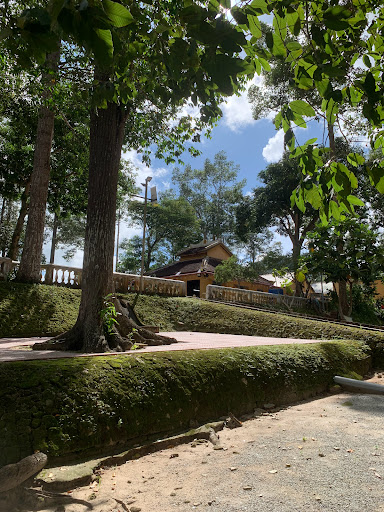 Top 20 cửa hàng ikonic Huyện Thoại Sơn An Giang 2022