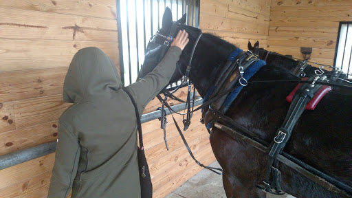 Grocery Store «Creekside Food Outlet», reviews and photos, 339 Spring Garden Rd, Kinzers, PA 17535, USA