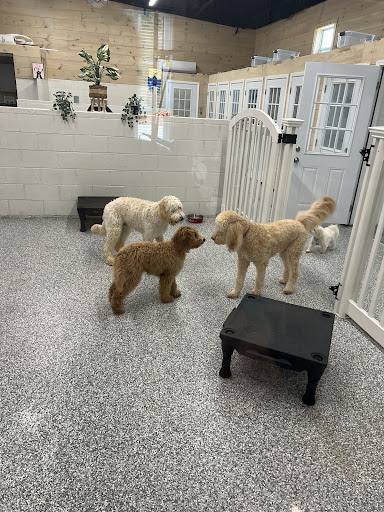 Pet Lodge & Spa of Reidville