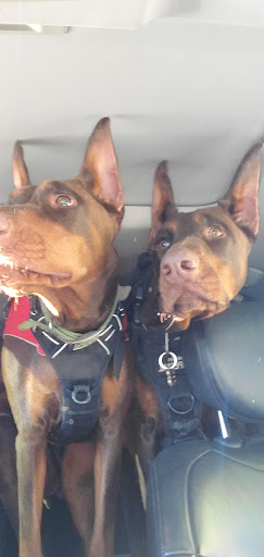 Shopping Mall «Pine Creek Shopping Center», reviews and photos, 692 Freeman Ln, Grass Valley, CA 95949, USA