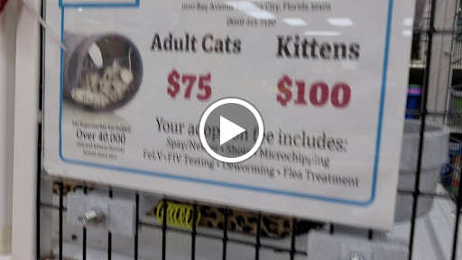 Pet Supply Store «Pet Supermarket», reviews and photos, 11160 Panama City Beach Pkwy #402, Panama City Beach, FL 32407, USA