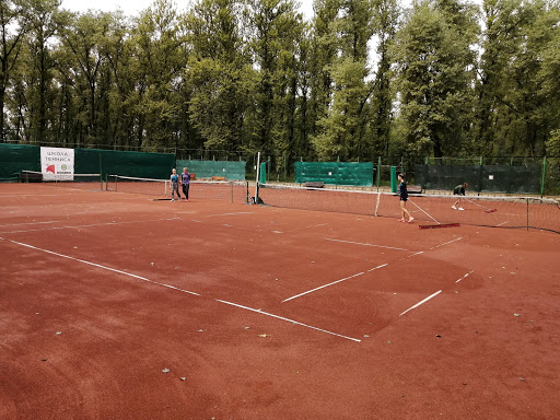 Теннисный клуб foxtennis