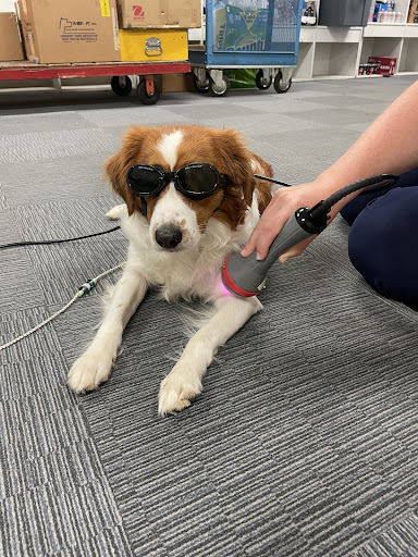 1035 S Electric Rd, Salem, VA 24153, USA