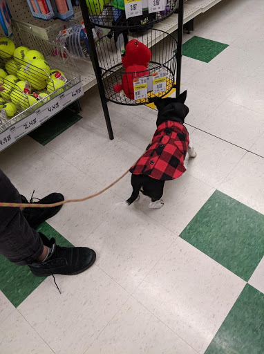 Pet Supply Store «Pet Supplies Plus», reviews and photos, 750 General Motors Rd, Milford, MI 48381, USA