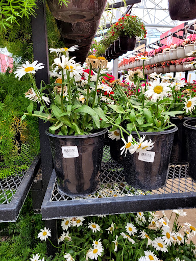 Home Improvement Store «Tractor Supply Co.», reviews and photos, 1701 US-377, Roanoke, TX 76262, USA