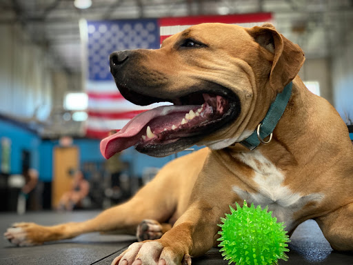 Gym «CrossFit Infinite Strength», reviews and photos, 8425 N 90th St #3, Scottsdale, AZ 85258, USA