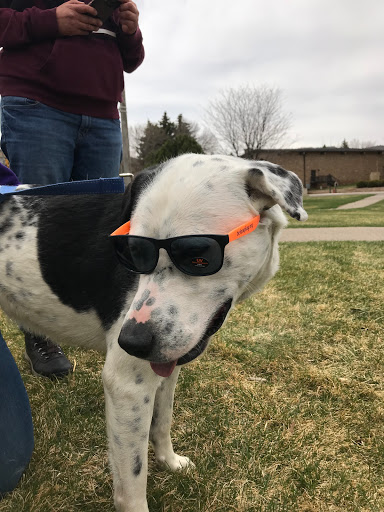 La Plata County Humane Society