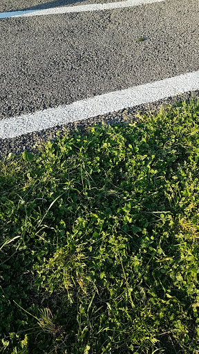 Park «Beekman Recreation Park», reviews and photos, 29 Recreation Center Rd, Hopewell Junction, NY 12533, USA