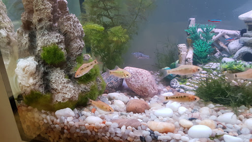 Der Zoopalast unter Taunusstein, 