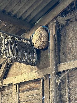 AGF Désinsectisation à Le Donjon