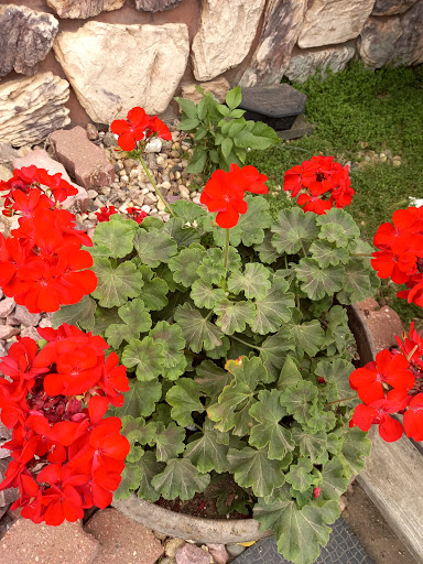 Park «Luverne City Park», reviews and photos