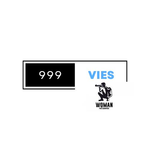 999 Vies à Caudebec-lès-Elbeuf