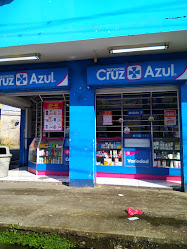 Farmacia Cruz Azul 29 y M