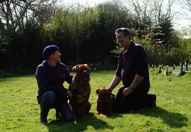 DogsInSight Dog Training with a Difference! - Derby