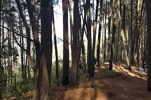 Parque Nacional Macarao image