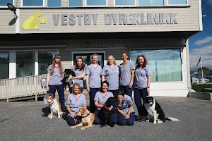 Vestby animal clinic image