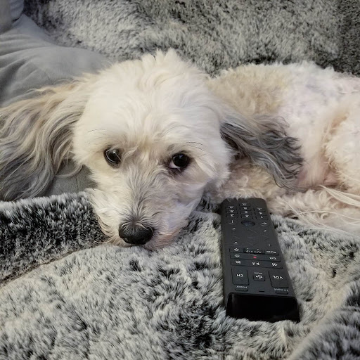 Fabric Store «Jo-Ann Fabrics and Crafts», reviews and photos, 11251 Pines Blvd, Pembroke Pines, FL 33026, USA