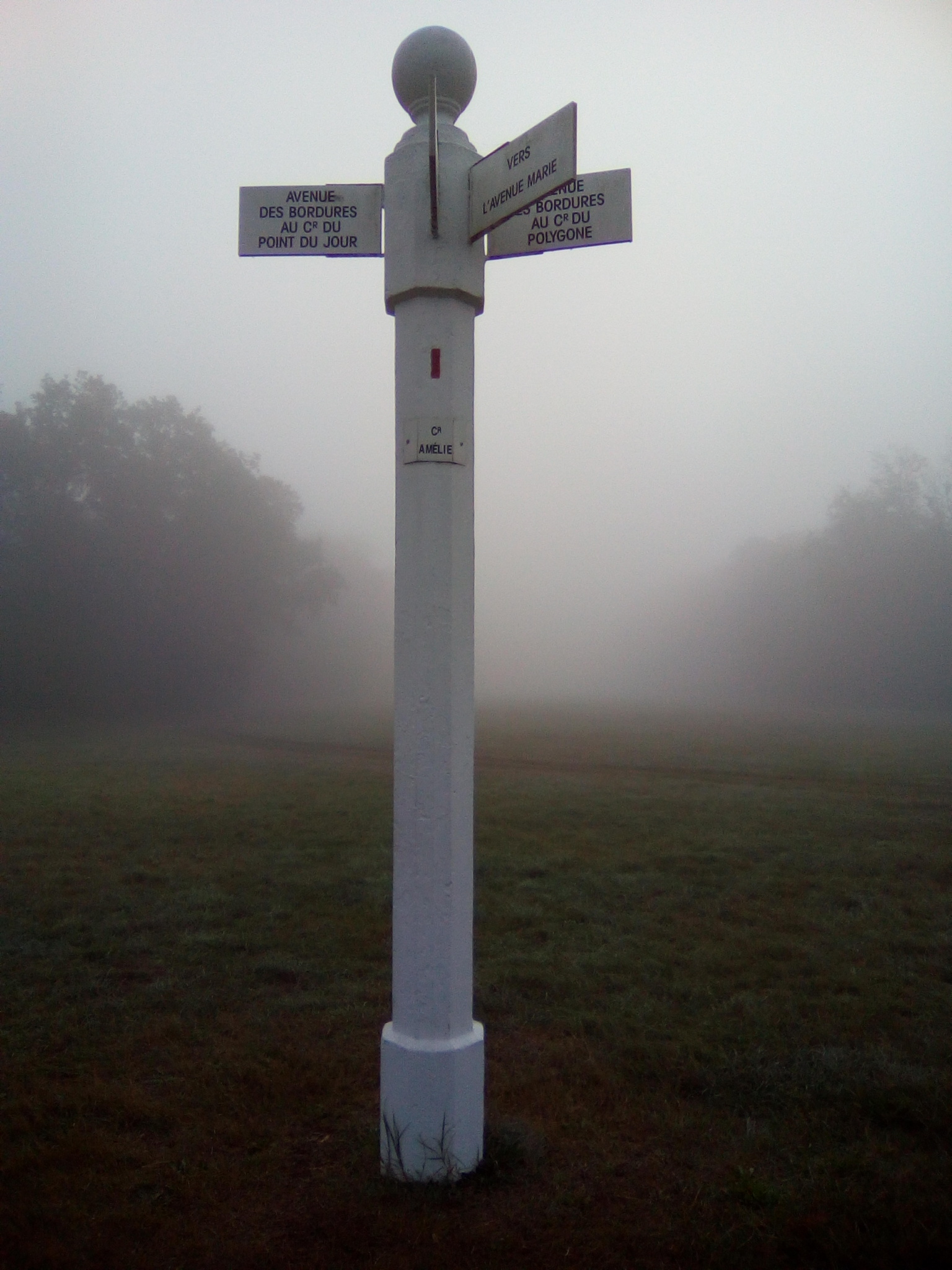 Photo n° 12 de l'avis de De.o fait le 13/10/2023 à 07:58