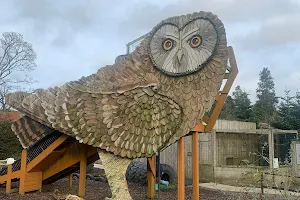 Scottish Owl Centre image