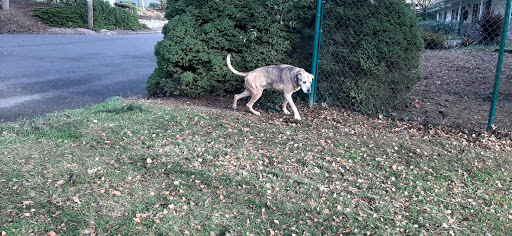 Park «Albert Kelly Park», reviews and photos, SW Dosch Rd & SW Mitchell St, Portland, OR 97239, USA