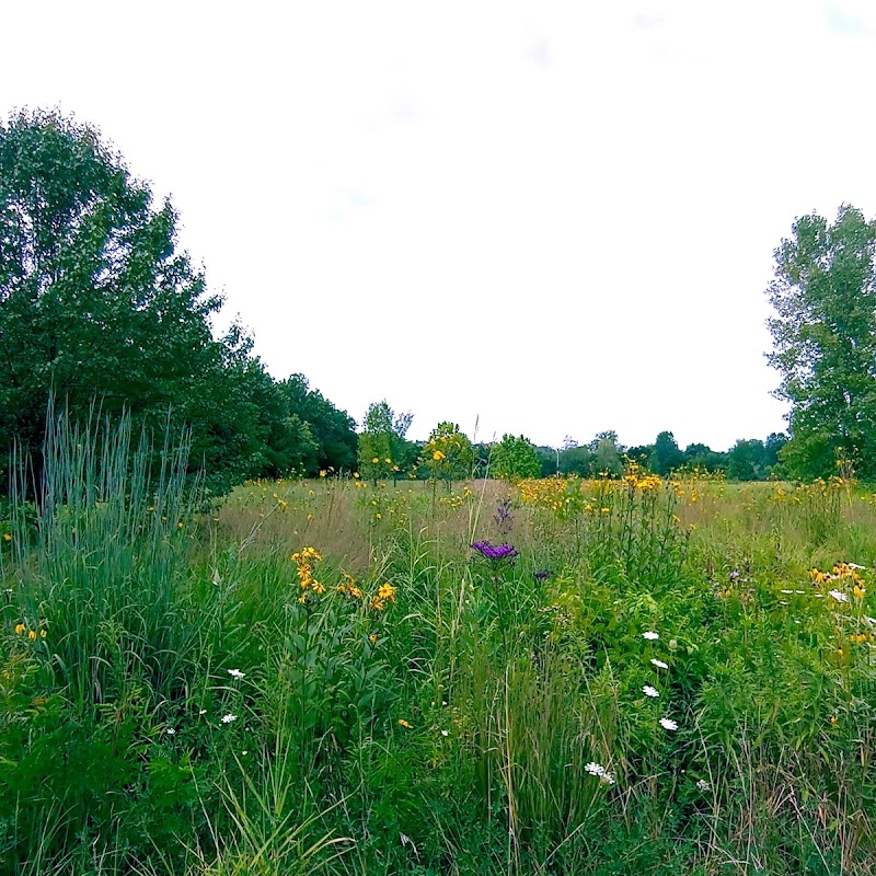 Craddock Wetlands