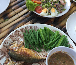 ไผ่ตอง ไทยแลนด์ photo