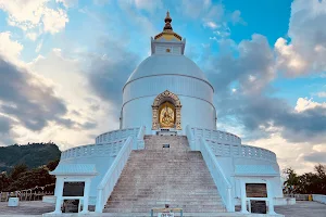 World Peace Pagoda image