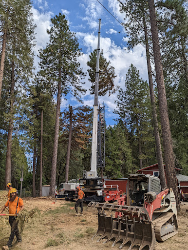 YFR Tree & Land Management image