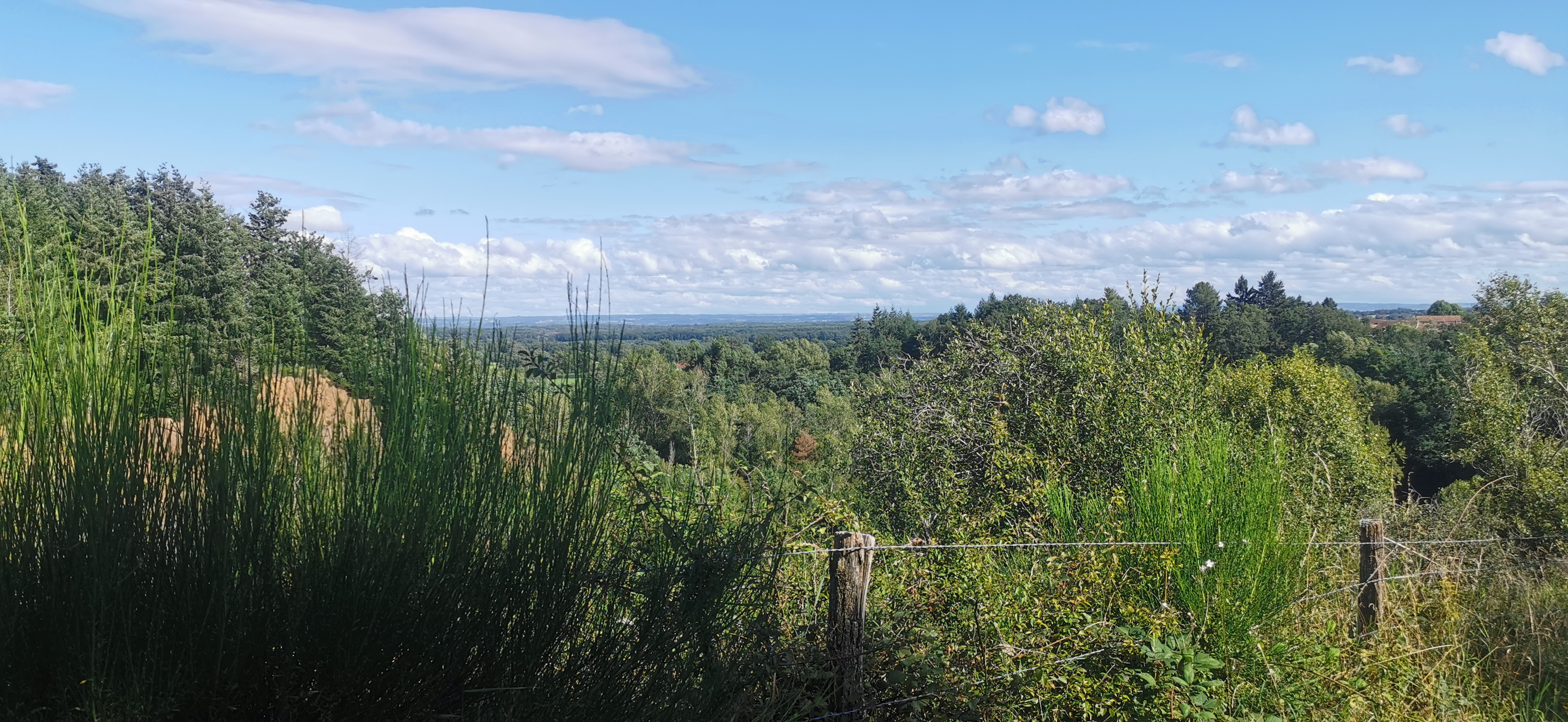 Photo n° 4 de l'avis de Véronique.r fait le 11/08/2021 à 13:41