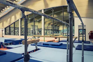 Ewo Gim - Rewolucja w spojrzeniu na trening gimnastyczny image