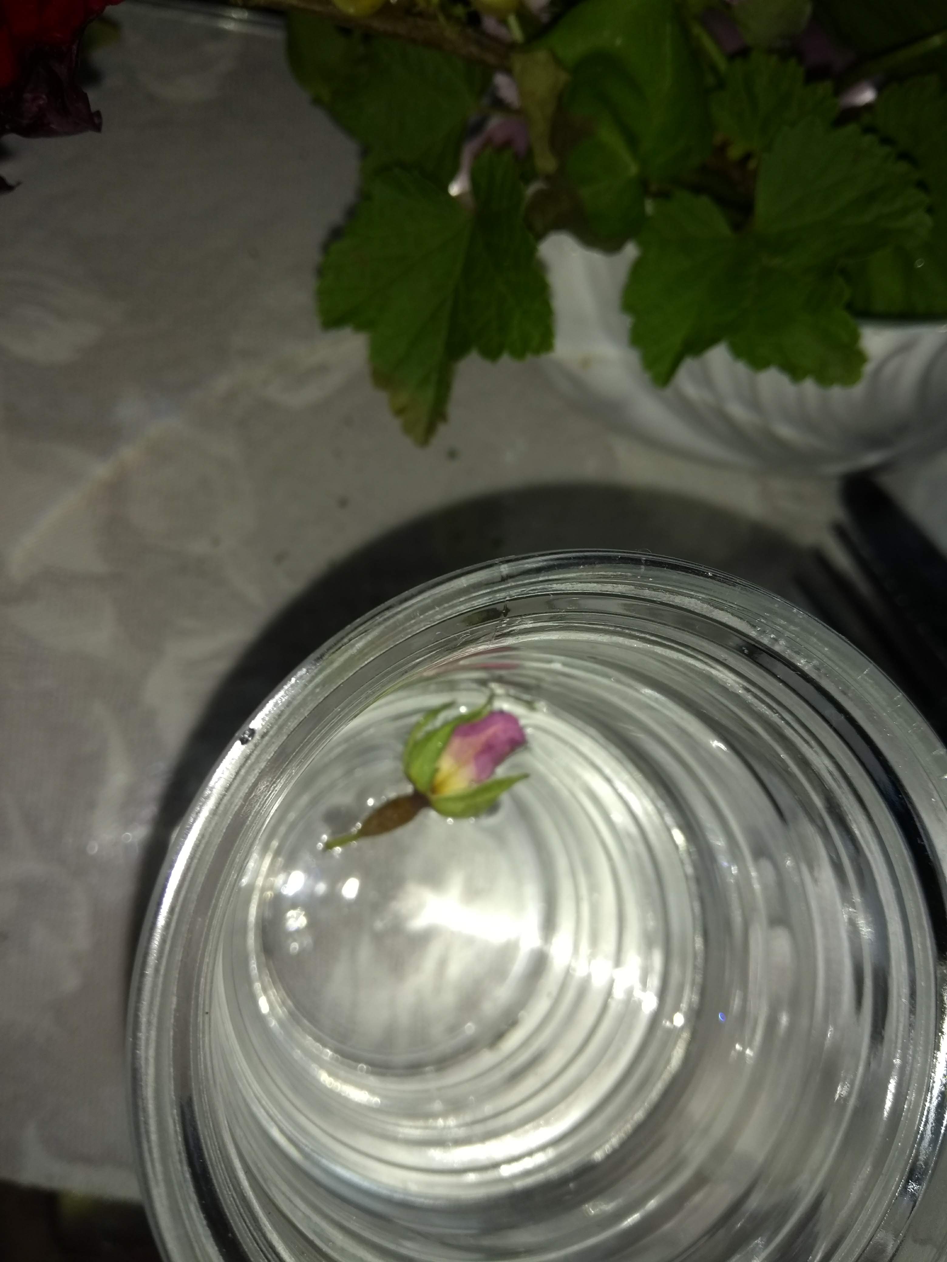 Photo n° 2 de l'avis de Maeva.e fait le 13/06/2018 à 19:04