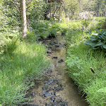 Photo n° 3 de l'avis de Romain. fait le 01/09/2022 à 11:07 pour Artbotanic à Saint-Agnant-de-Versillat