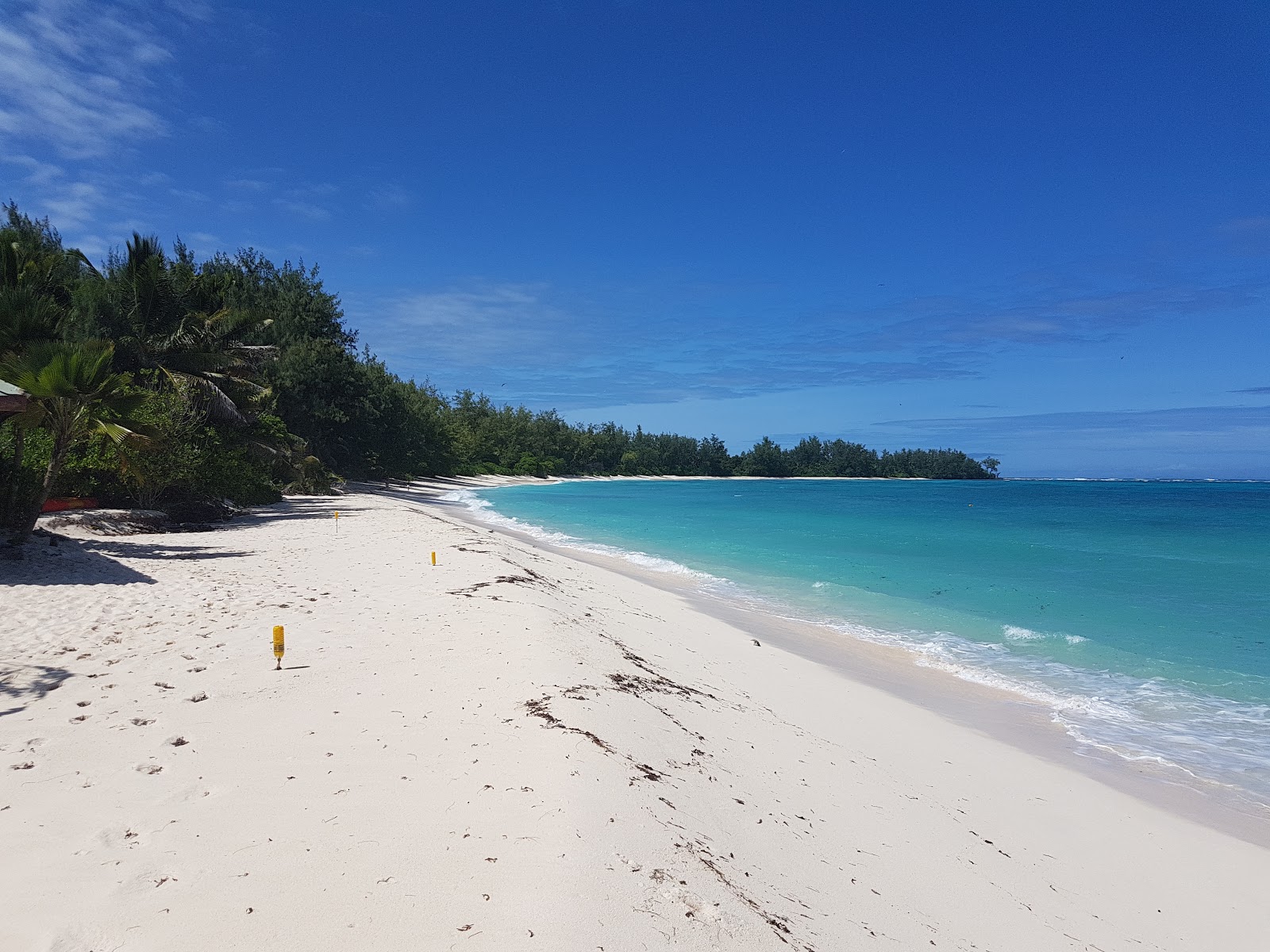 Photo of Denis Island Beach with white sand surface