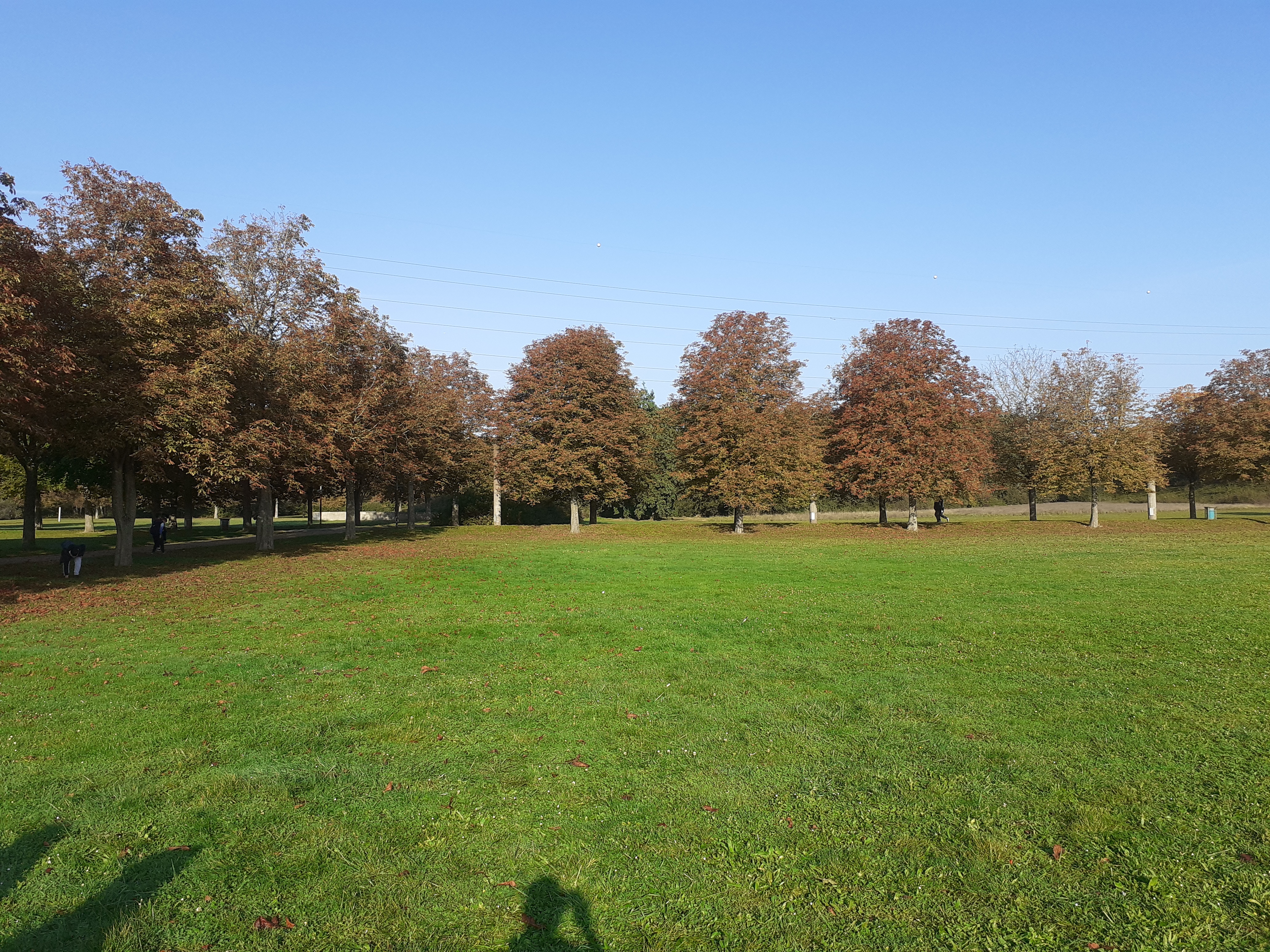Photo n° 11 de l'avis de Michel. fait le 13/10/2021 à 05:07
