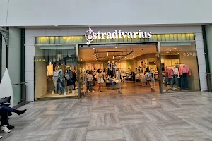 Stradivarius image