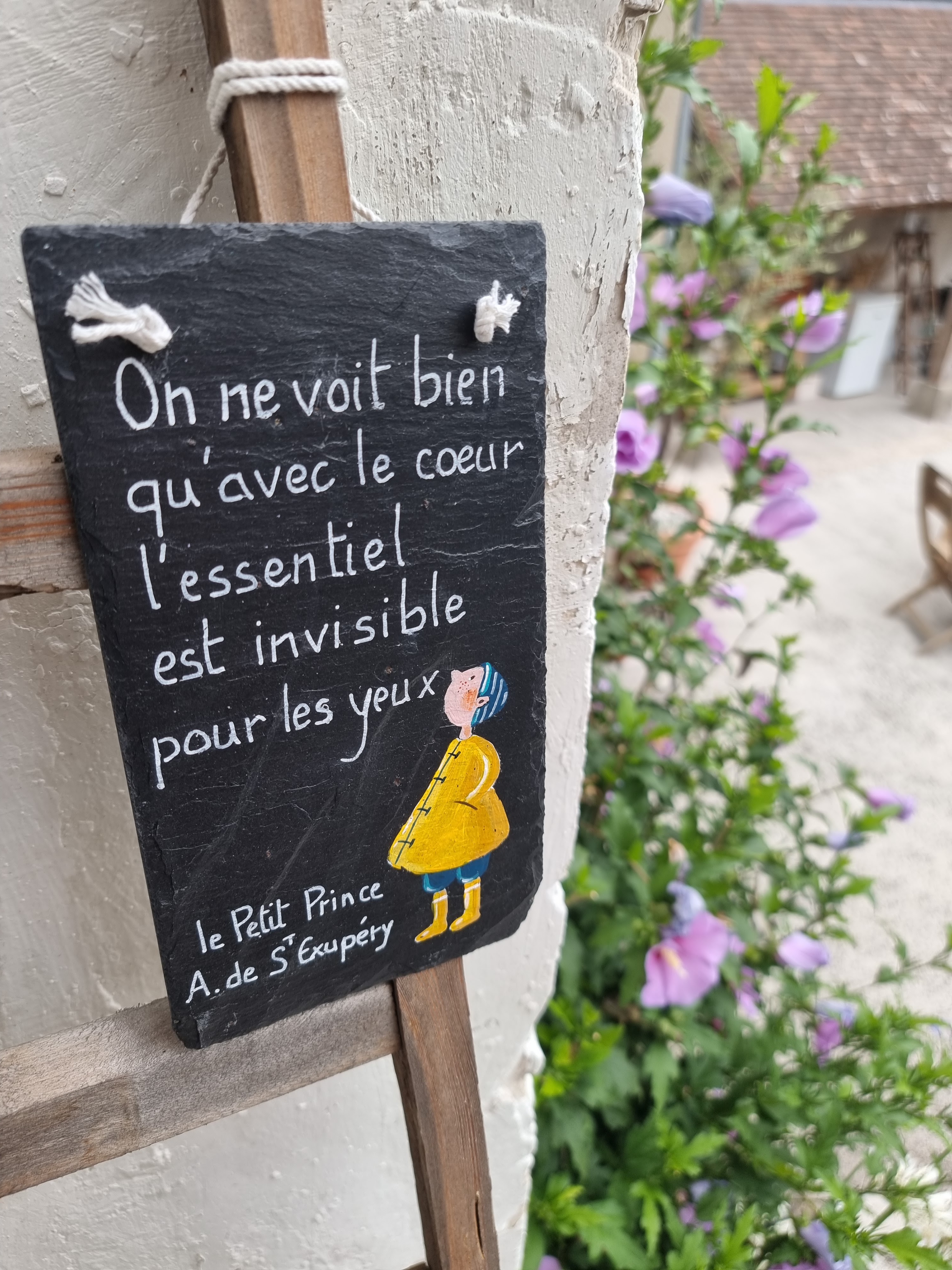 Photo n° 1 de l'avis de François.a fait le 05/09/2022 à 19:17