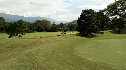 Campo de Golf