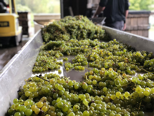 Winery «Stoutridge Vineyard», reviews and photos, 10 Ann Kaley Ln, Marlboro, NY 12542, USA