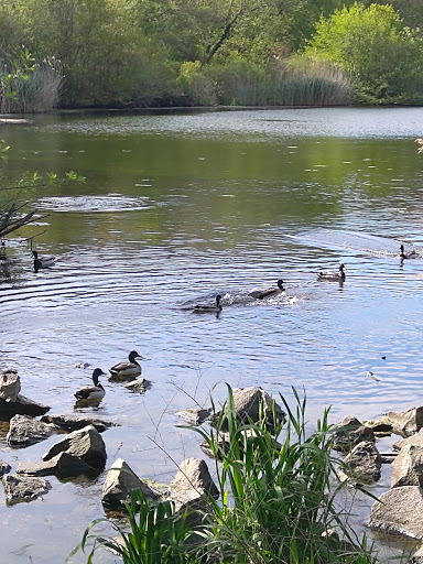 Park «Mansfield Park», reviews and photos, 85 Walker St, Massapequa Park, NY 11762, USA